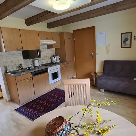 Apartment Dependance Ii Schladming